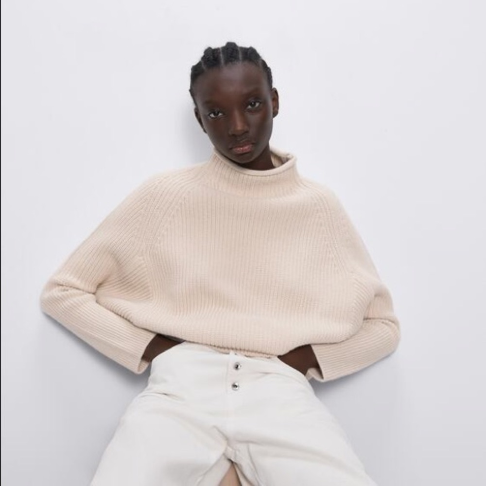 Zara sweater- pristine condition!